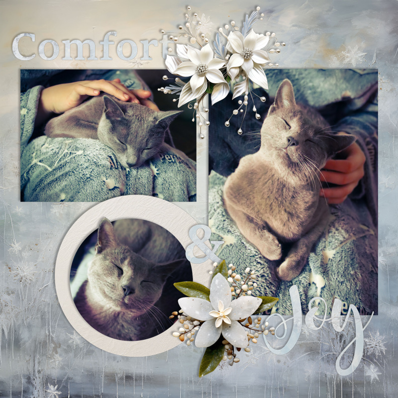 221225_F Comfort