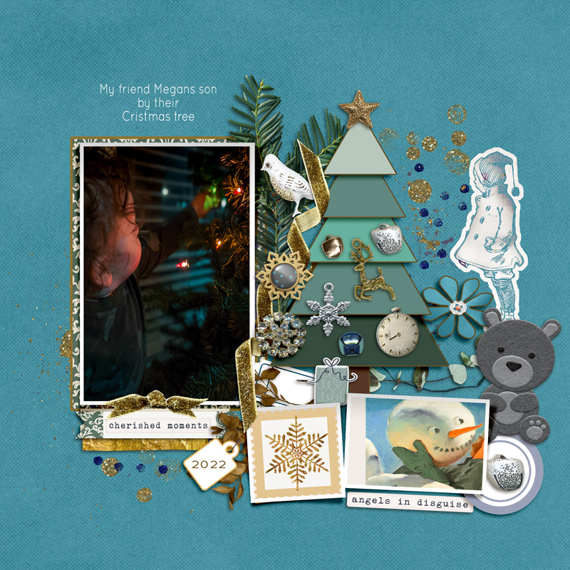 2212_megans_son