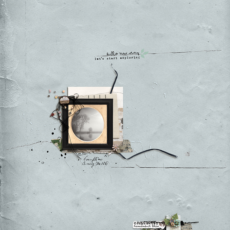23-03_rjefferies-assembles-phlox