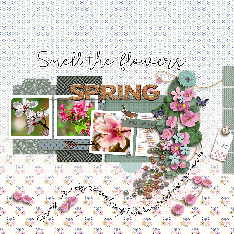 23-05_ad_springshine