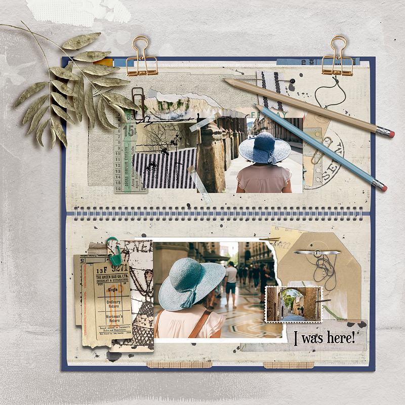 23-06_june-Muse-week1