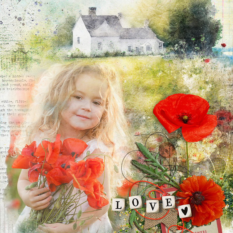 23-06_nbk-Poppy-Extravaganza