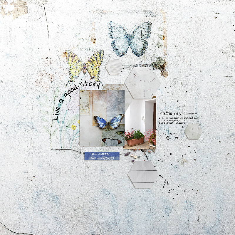 23-06_TLP_June-Template-Challenge