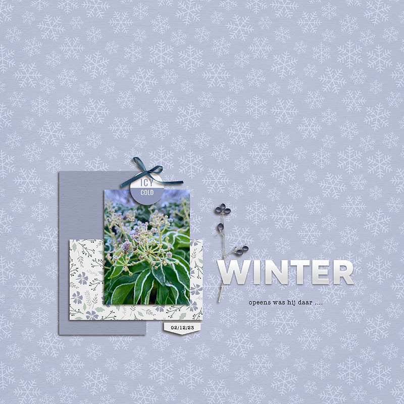 23-12_TLP_December-Photography-Challenge