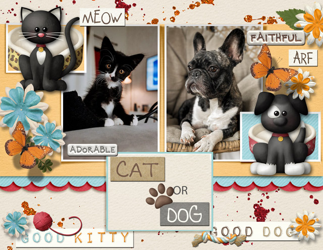 23.-Cat-or-Dog