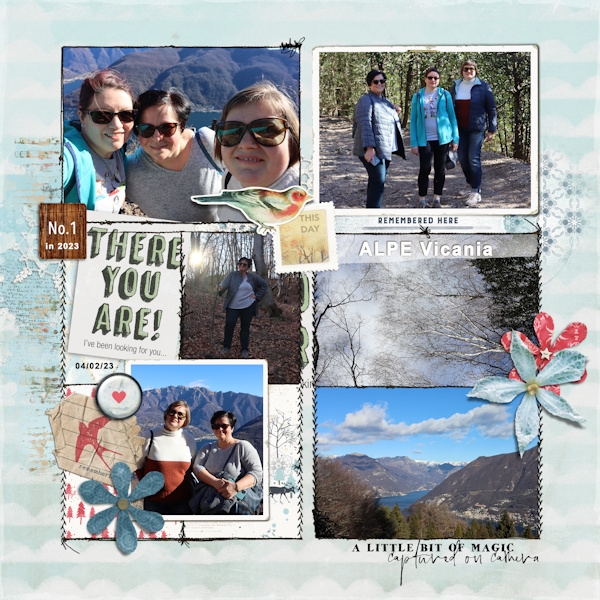 230204_walk Alpe