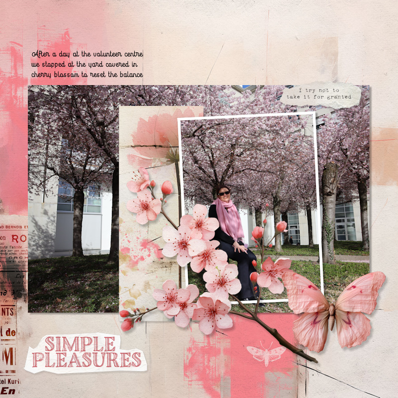 230315_cherry