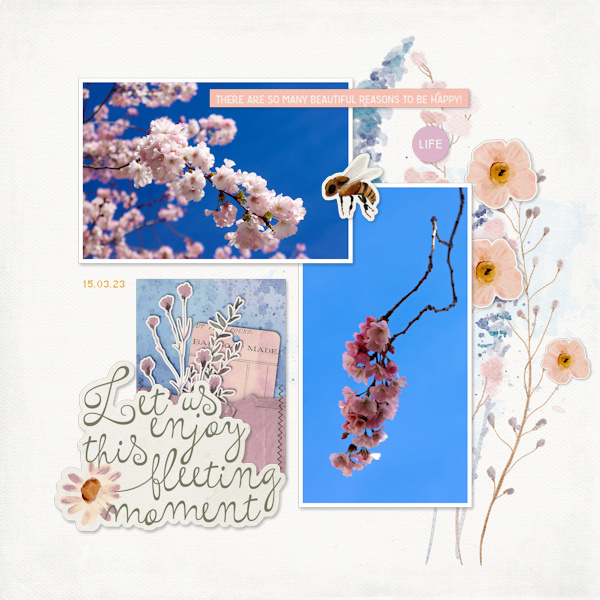 230315_sakura