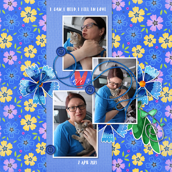 230402_kitten