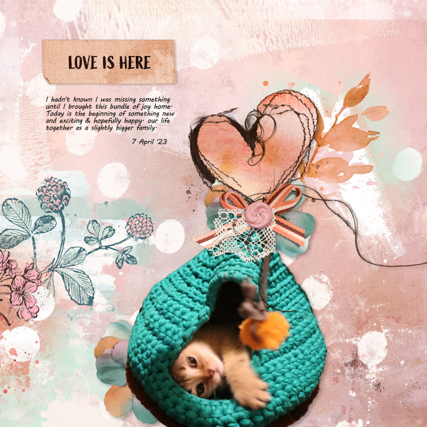 230407_bundle
