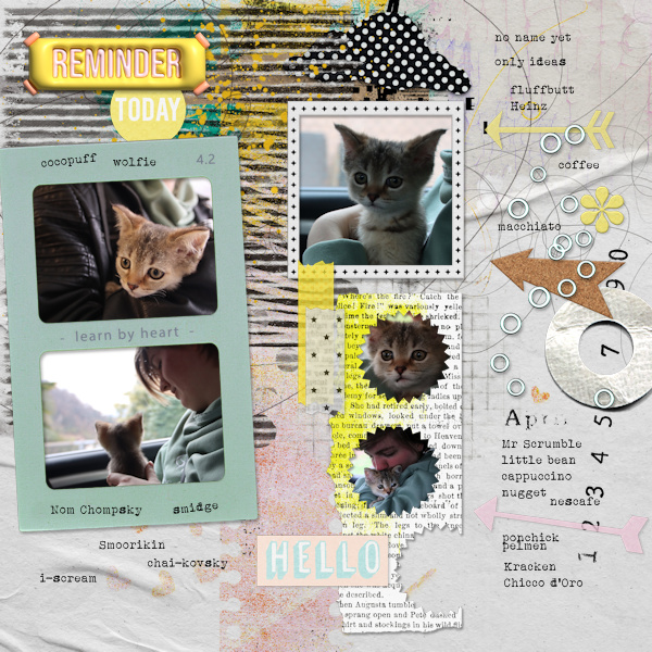 230407_no Name