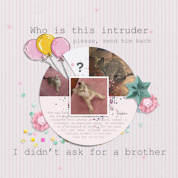 230408_intruder