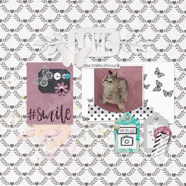 230408_little