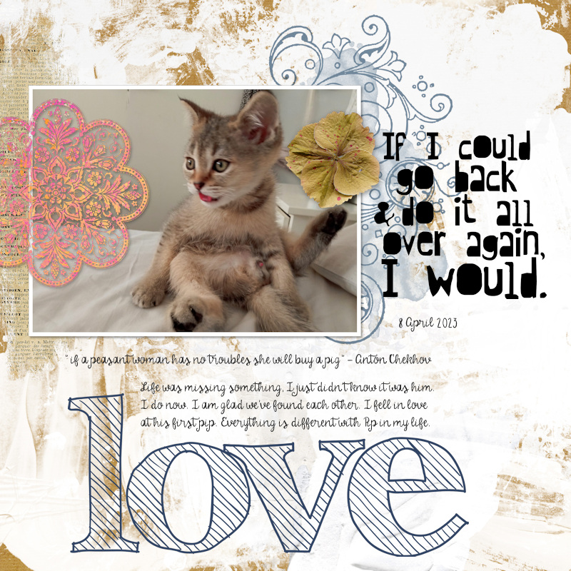 230408_Pip Love