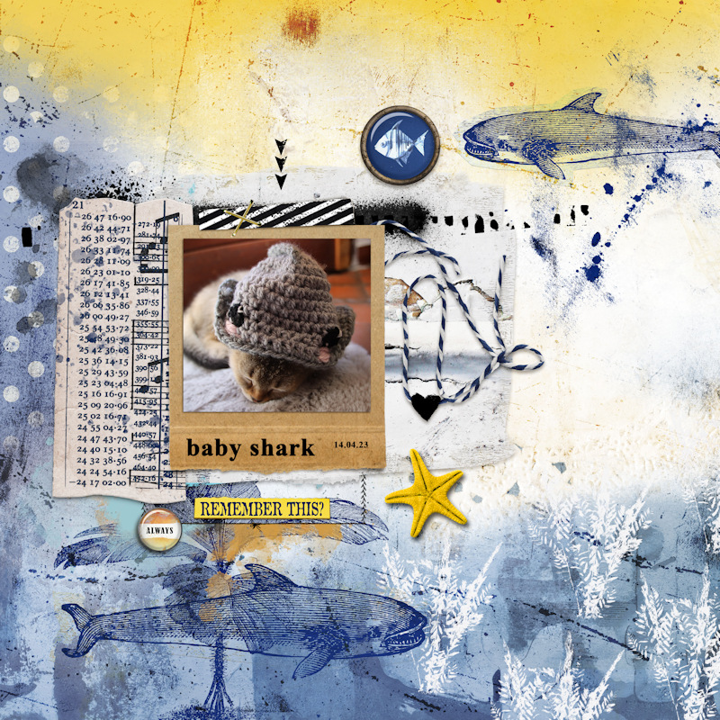 230414_shark