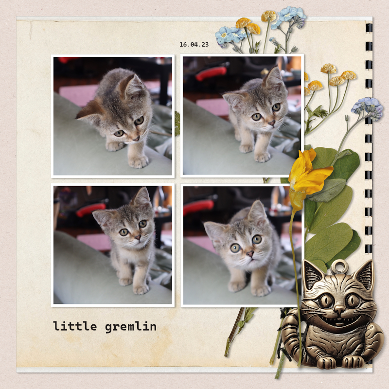 230416_gremlin