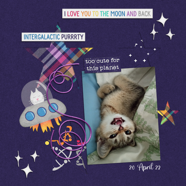 230420_cute Cat