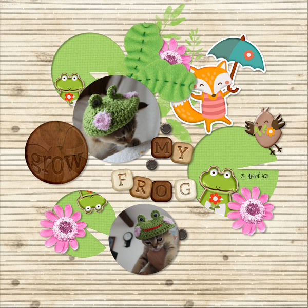 230423_frog