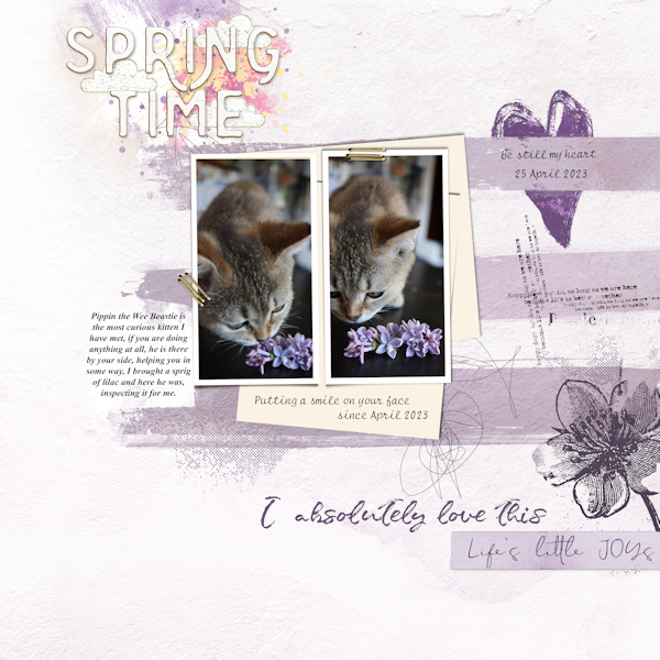 230425_lilac
