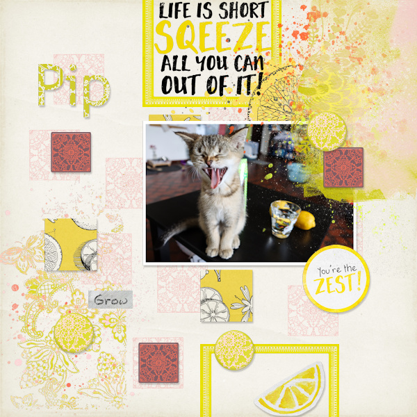 230427_Pip