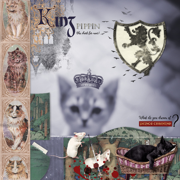 230427_Pippin Dream