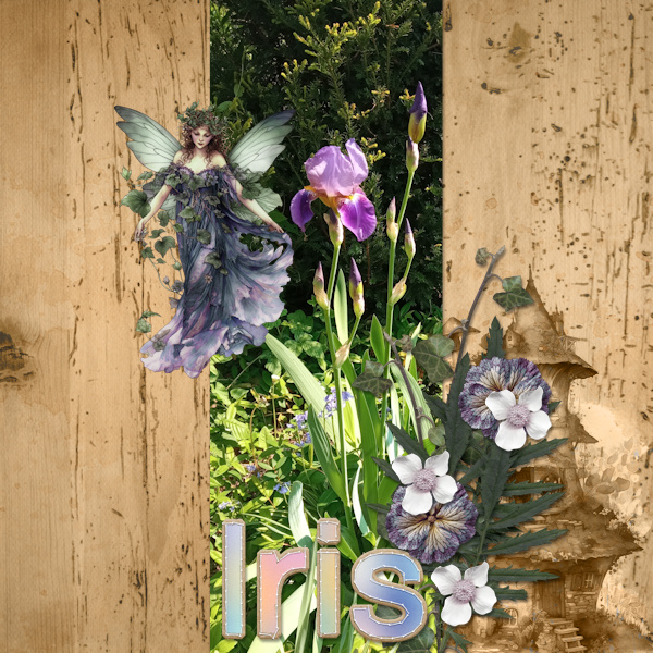230506_Iris
