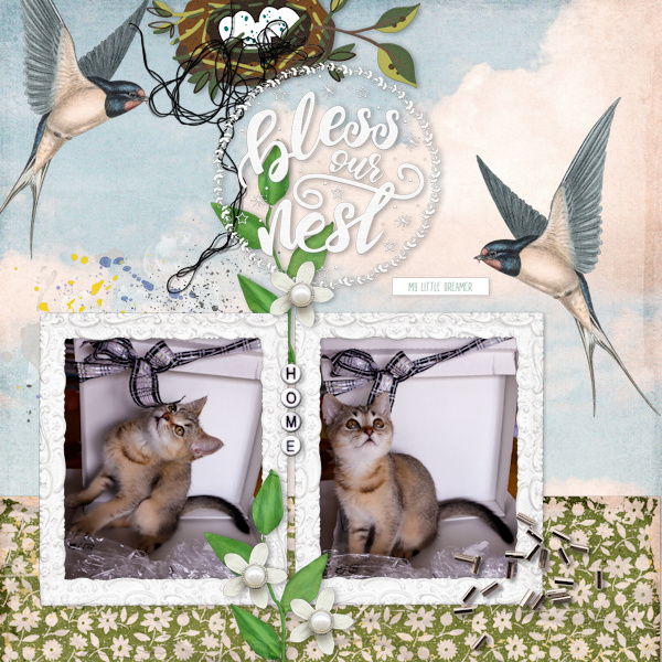 230507_home