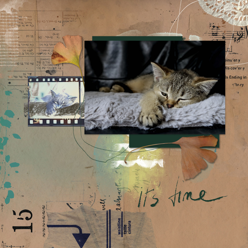230509_Pip Emerge