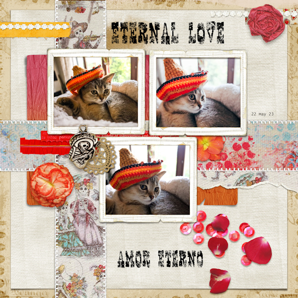 230522_amor