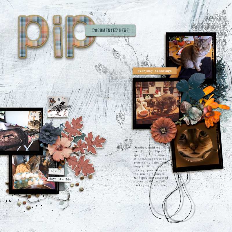 2310_Pip Helper