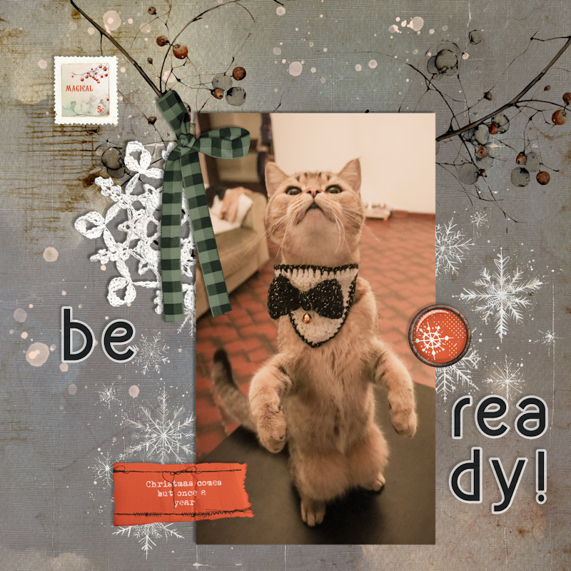 231124_Pip Ready