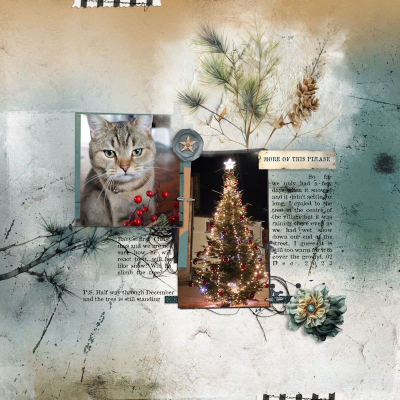 231202_xmas Pip
