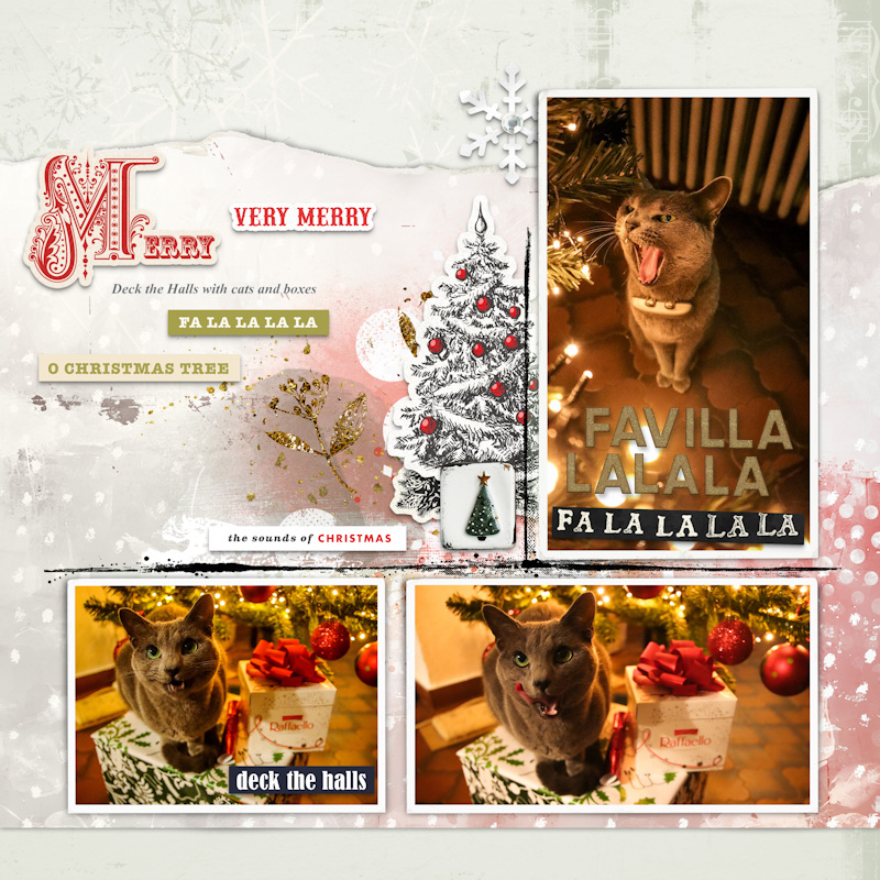 231206_falalala