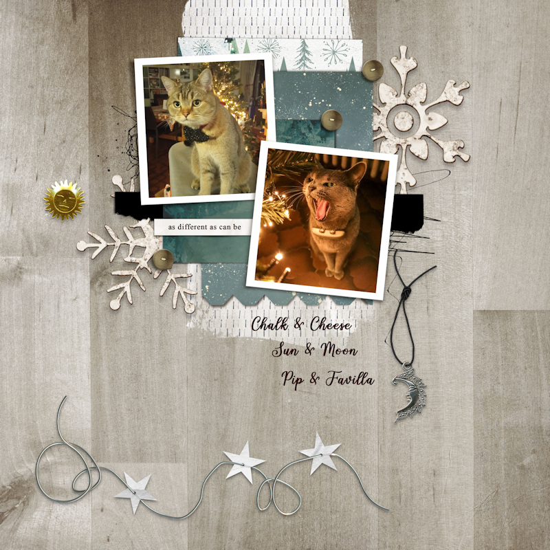 231213_Pip Favilla