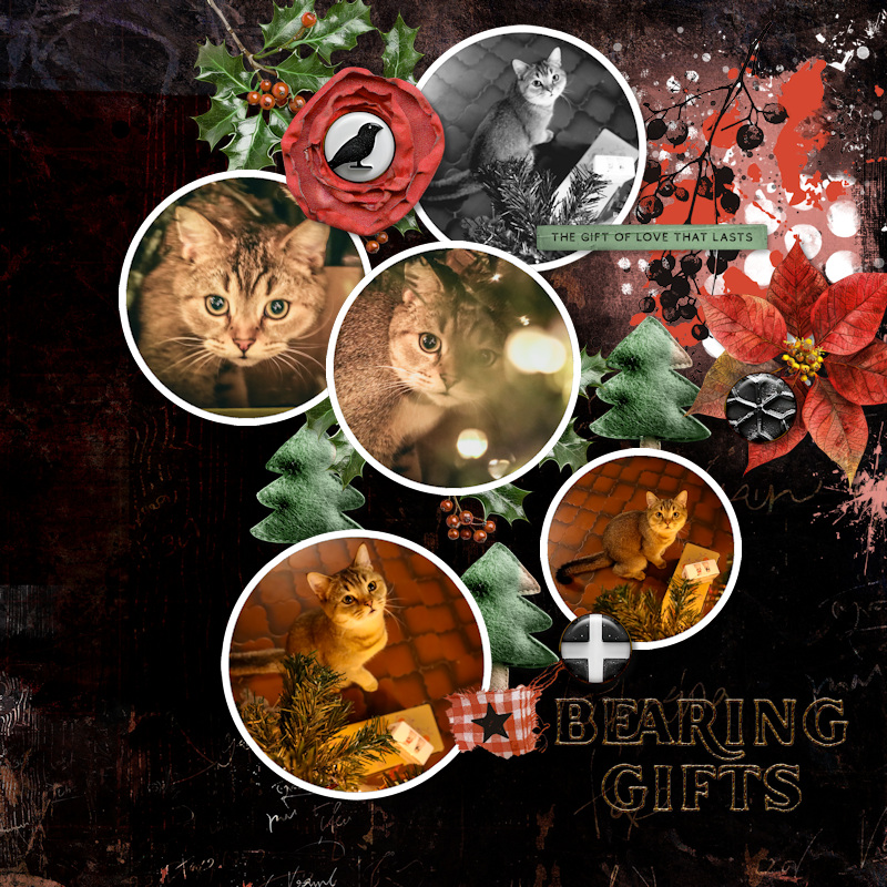 231213_Pip Gifts