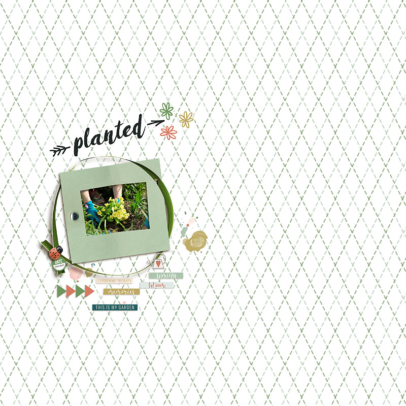 24-03_TLP_March-Scraplift-Challenge