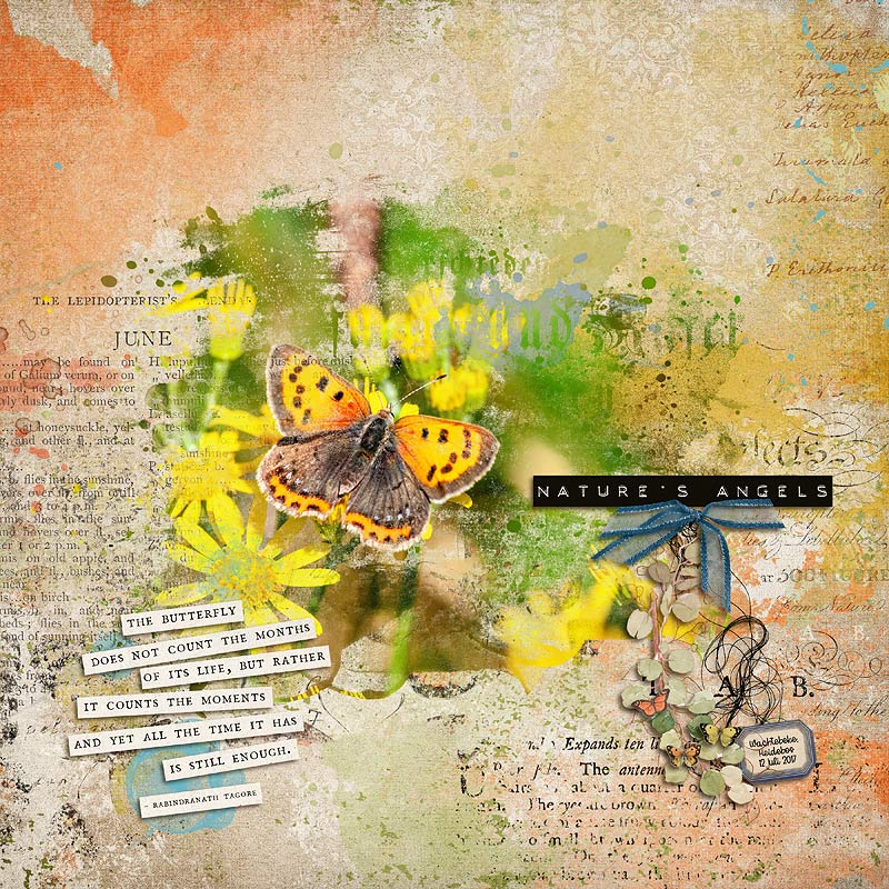 24-06_AWA-The Butterfly Effect