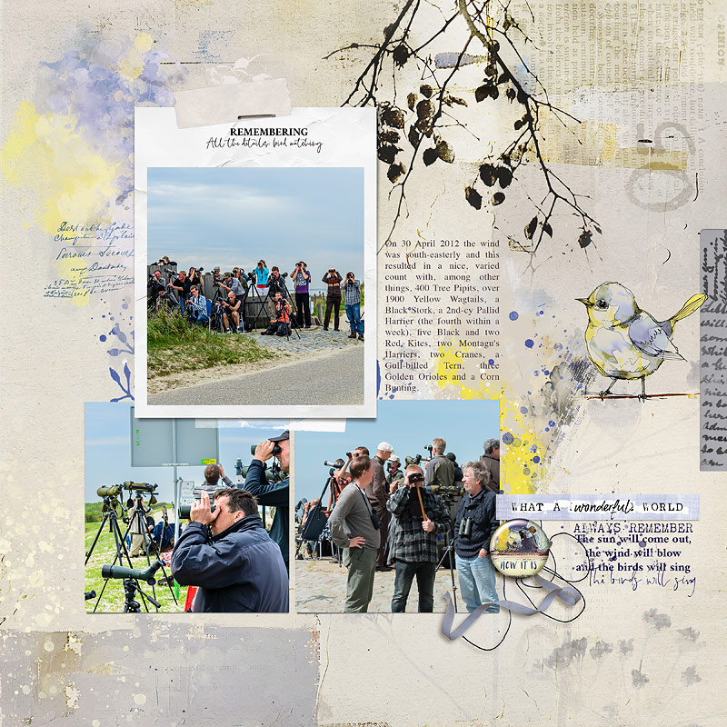 24-08_bird watching