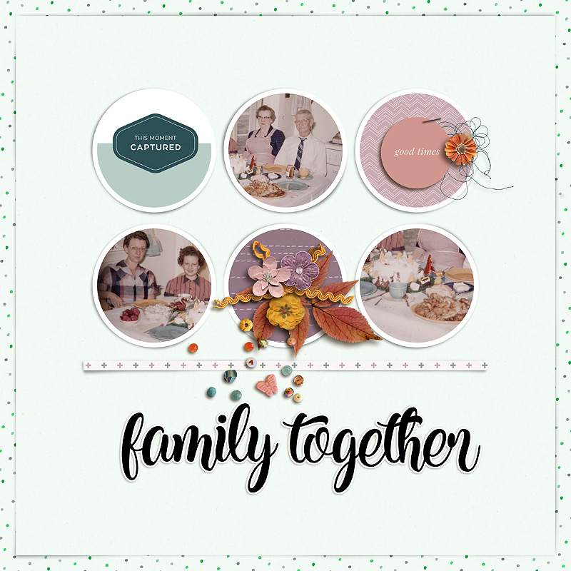 24-11_soco_together