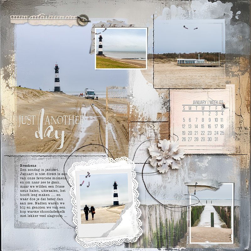 24-12_nbk-TP25-Jan-W-03