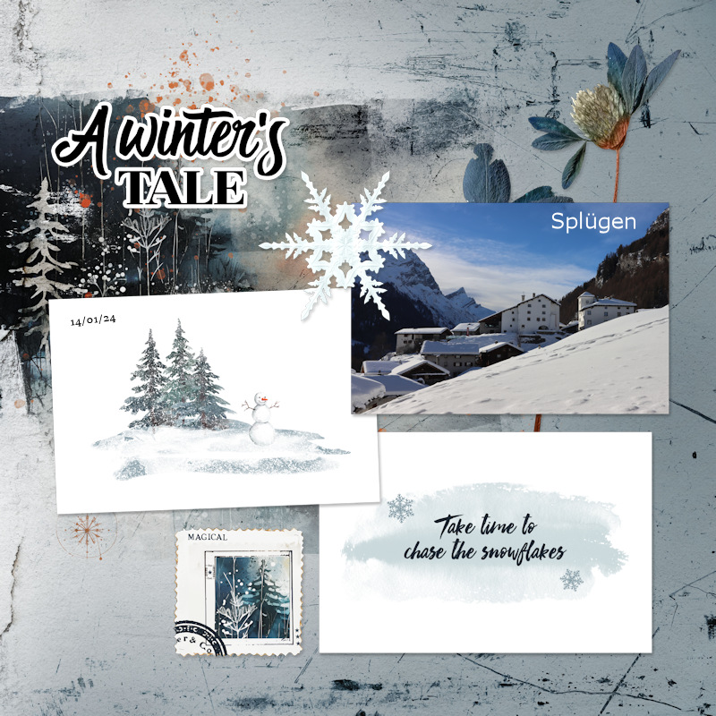 240114_spluegen