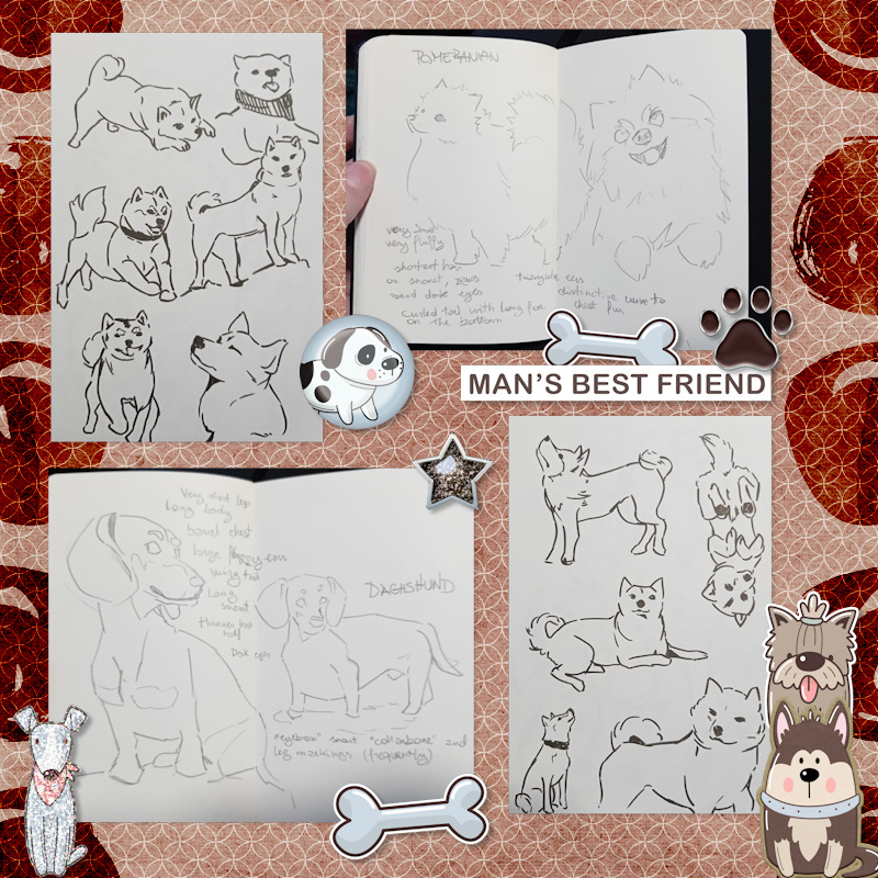 240205_dogs