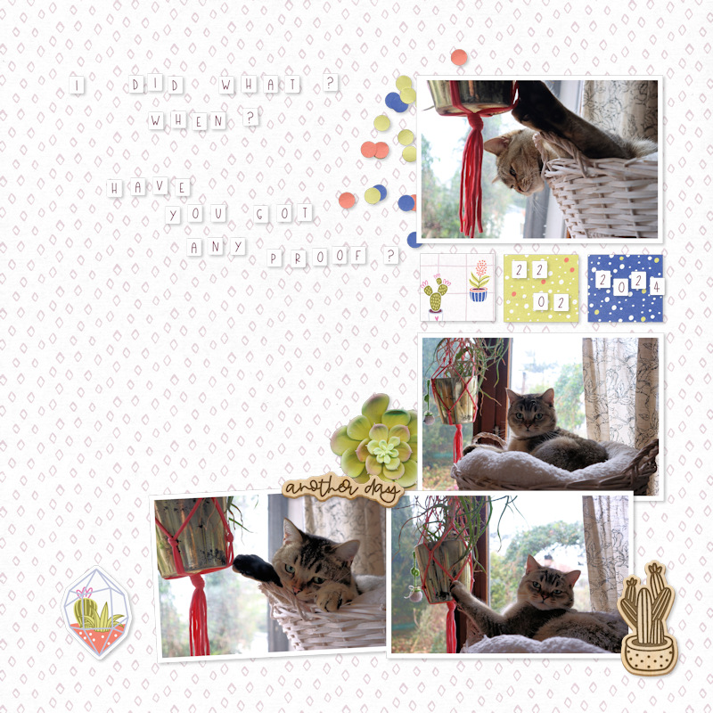 240222_cat Plant