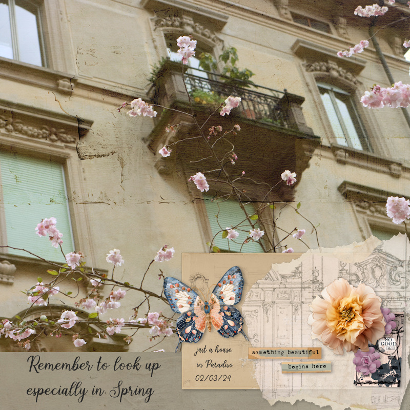 240302_Paradiso