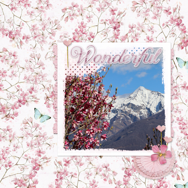 240316_magnolia Mountain