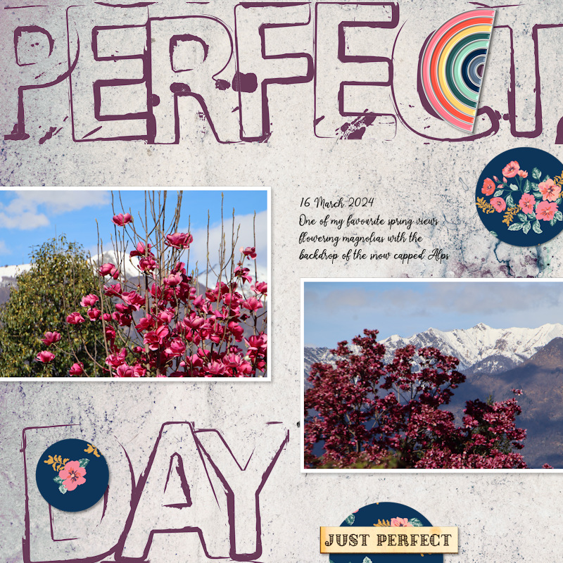 240316_perfect