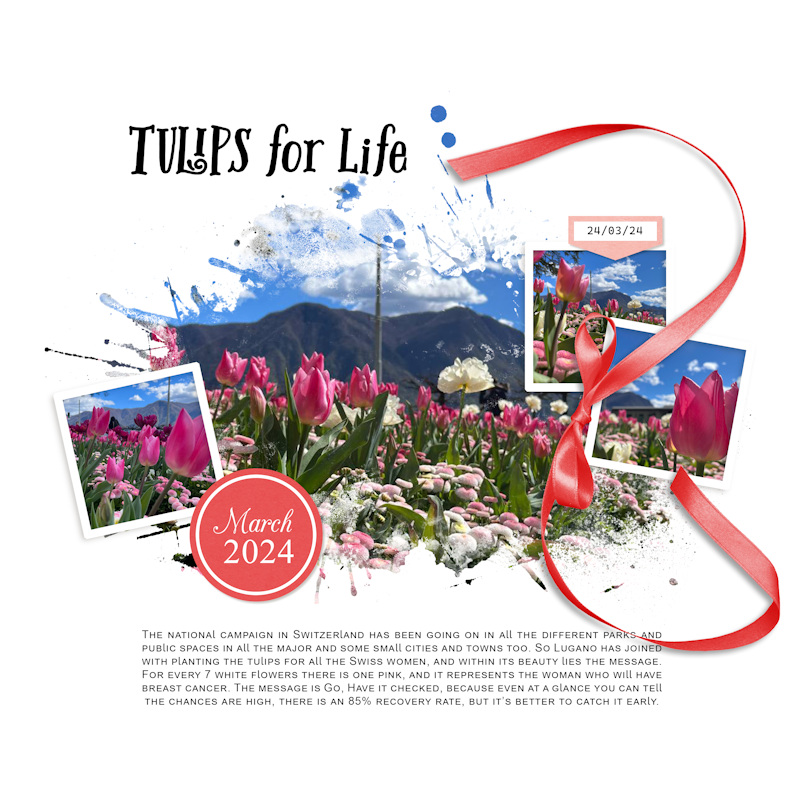 240324_tulips