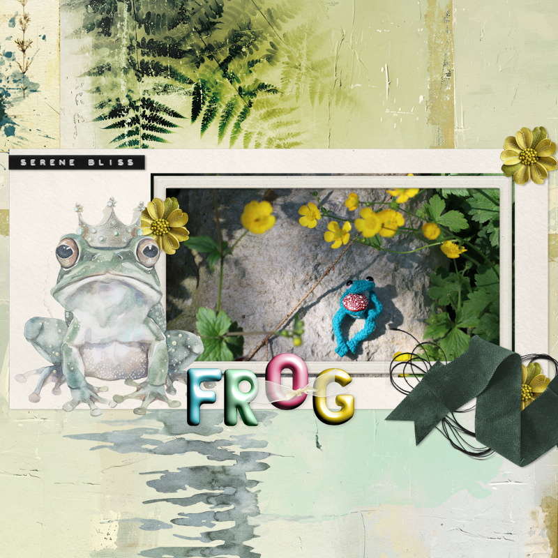 240413_frog