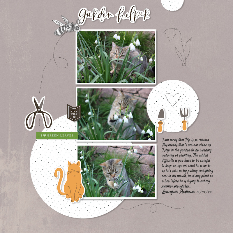 240415_pip Eat