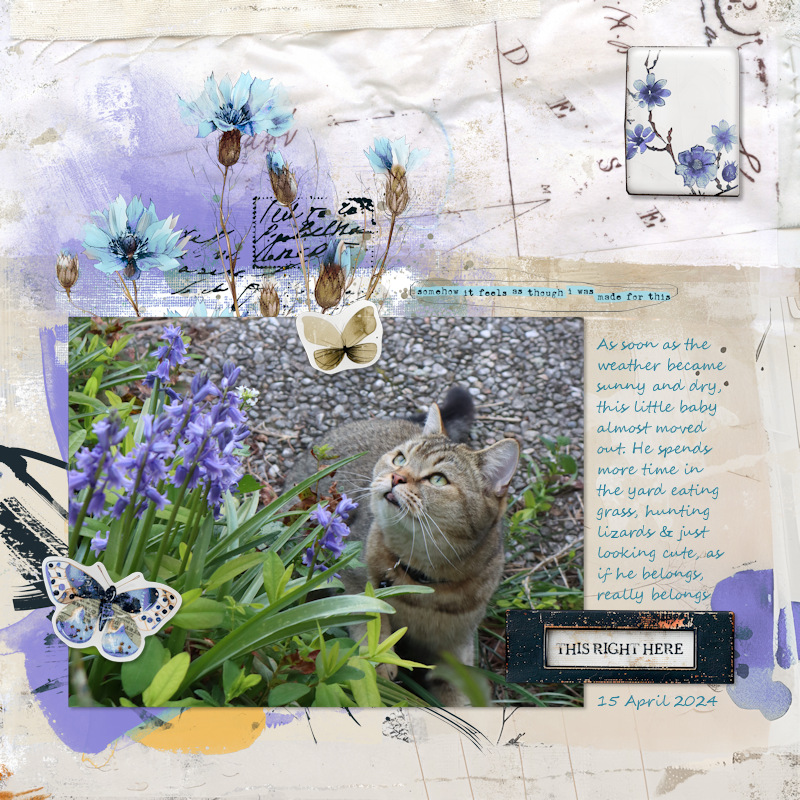 240415_Pip Yard